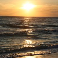 Vickie Parham Photo 10