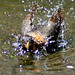 Robin Kellogg Photo 5
