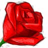 Farooq Syed Photo 28