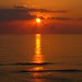 Stuart May Photo 43