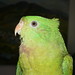 Lori Green Photo 15