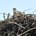 Jason Kuntz Photo 17