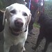 Denise Walker Photo 8