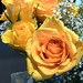 Rosalee Rose Photo 15