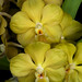 Gail Fuller Photo 22