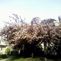 Elizabeth Cavanaugh Photo 13