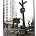 Danny Casey Photo 15