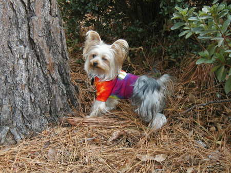 Pamela Morris Photo 9