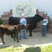 Trevor Lyons Photo 37