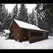 Traci Winters Photo 22