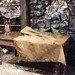 Charles Cusick Photo 8