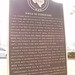 Neal Wiley Photo 8