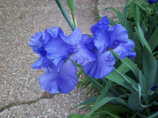 Judy Knight Photo 33