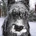 Scottie Winters Photo 2