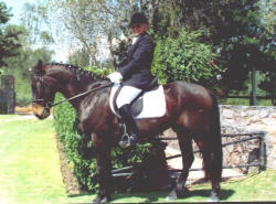 Jeanne Johnson Photo 36