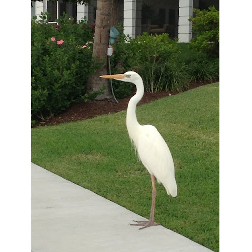 Donald Saunders Photo 5
