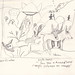 Trang Bui Photo 19
