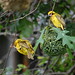 Derek Archer Photo 10