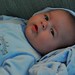 David Tripp Photo 25