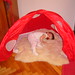 Amy Poland Photo 16