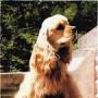 Darlene Schaffer Photo 20