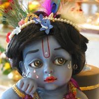 Neal Parikh Photo 11