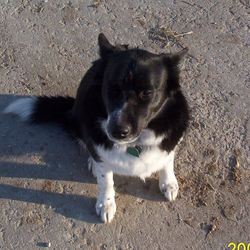 Robin Conley Photo 5