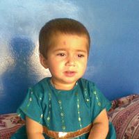Javed Qasim Photo 5