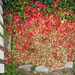 Suzanne Richmond Photo 15