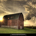 Adam Jacobs Photo 49