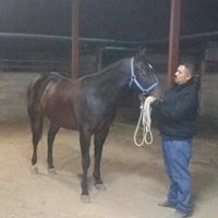 Daniel Olivares Photo 29