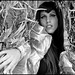 Elena Tellez Photo 26