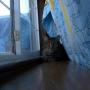 Marie Olson Photo 14
