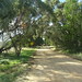 Frances Robertson Photo 24