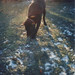 Anthony Dasilva Photo 28