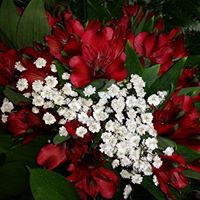 Donna Breen Photo 30