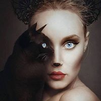 Brandy Lang Photo 10