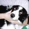 Danny Washburn Photo 10