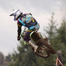 Miles Warren Photo 28