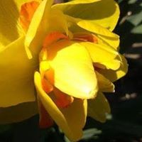 Peggy Lane Photo 19
