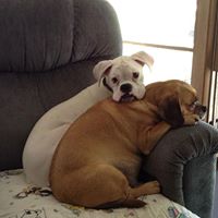 Sheri Ross Photo 17