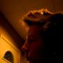 Martin Phillips Photo 10
