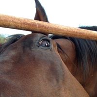 Melissa Scarbrough Photo 25