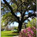 Robert Leu Photo 10