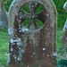 Jane Ansell Photo 5