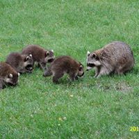 Sandra Mcalister Photo 6