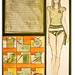 Katherine Dawson Photo 16