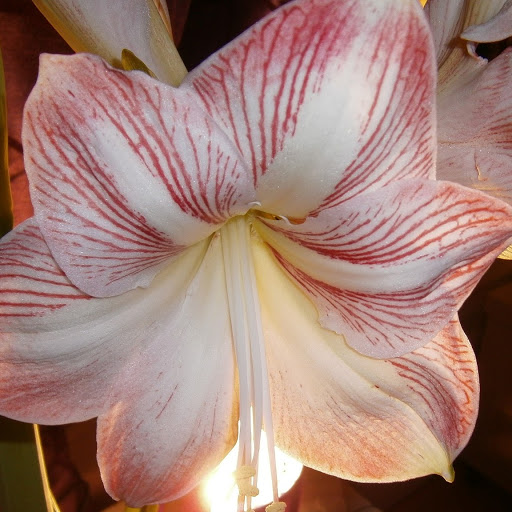 Rita Hahn Photo 4