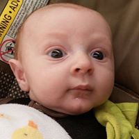 Lisa Strickland Photo 52