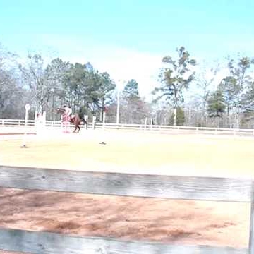 Heidi Cook Photo 36